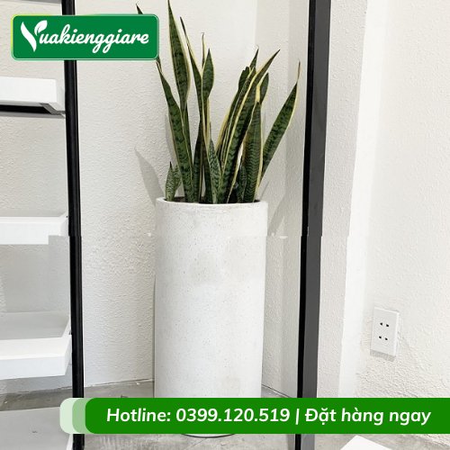 Chậu Xi Măng Đá Mài Hình Trụ Tròn 50×30
