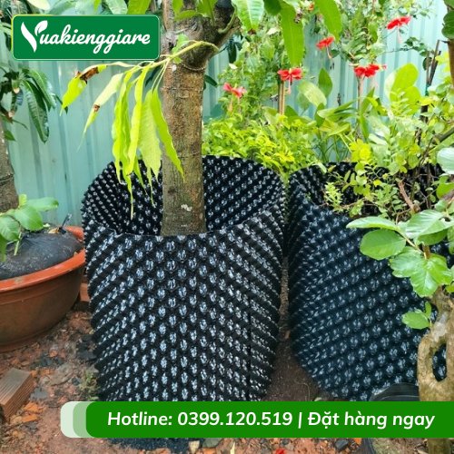 Bầu Nhựa Ươm Cây V6