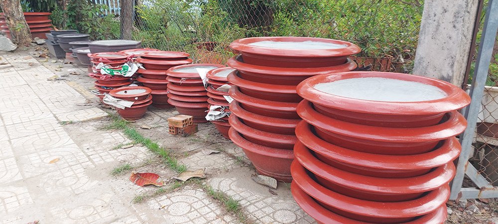 Chậu xi măng tròn đỏ truyền thống 50cm