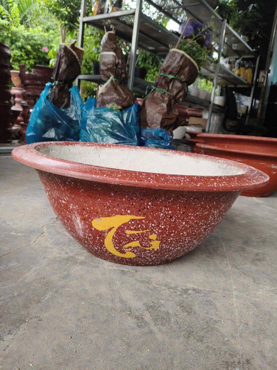 Chậu Xi Măng Đỏ – Chậu Sơn – Chậu Trồng Mai