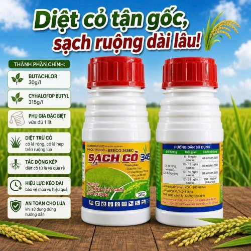 SẠCH CỎ 345EC – GIẢI PHÁP KIỂM SOÁT CỎ TRÊN RUỘNG LÚA