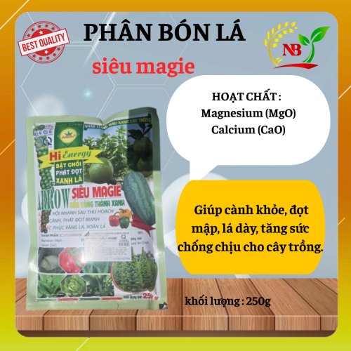 SIÊU MAGIE  XANH LÁ, BẬT CHỒI, PHÁT ĐỌT MẠNH