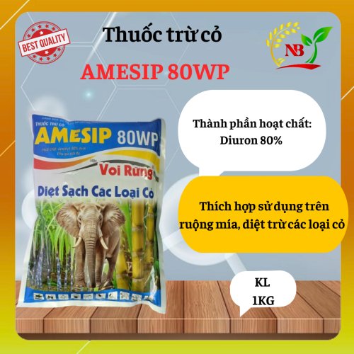 AMESIP 80WP – HIỆU VOI RỪNG Diệt sạch cỏ lá rộng – Giữ ruộng mía thông thoáng, tăng hiệu quả canh tác