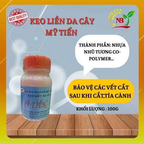 KEO LIỀN DA MỸ TIẾN HŨ 100G