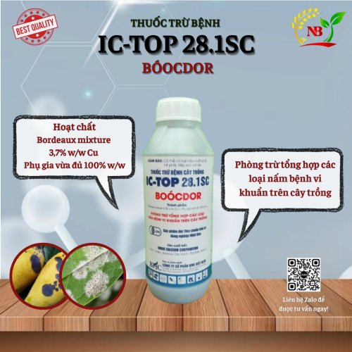(BỆNH) IC- TOP 28.1SC (Booc Đô) - 1kg