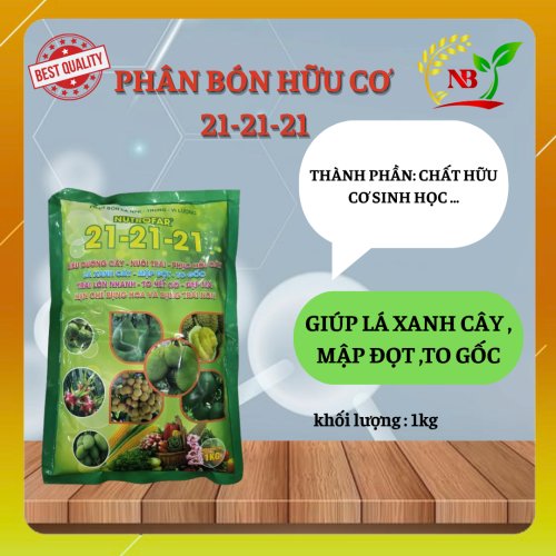 Kỹ Thuật Chăm Sóc Rau Màu Mùa Mưa – Hạn Chế Sâu Bệnh, Giảm Chi Phí