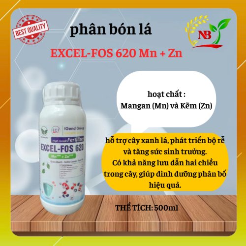 Cách Phục Hồi Cây Vàng Lá, Thối Rễ Sau Mưa Đúng Kỹ Thuật