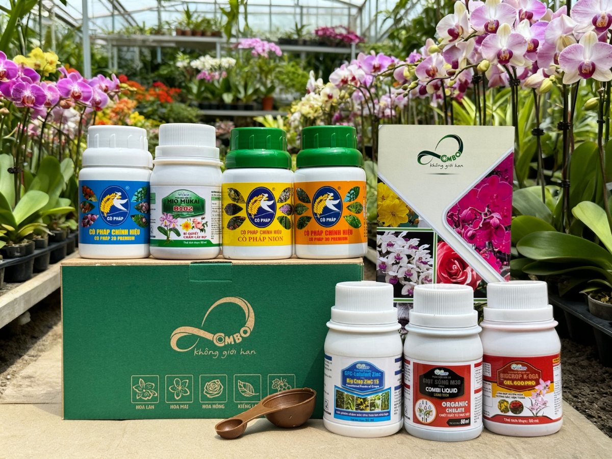 Combo 8 Premium (50ml) - Giải Quyết Các Vấn Đề Chăm Sóc Lan 2