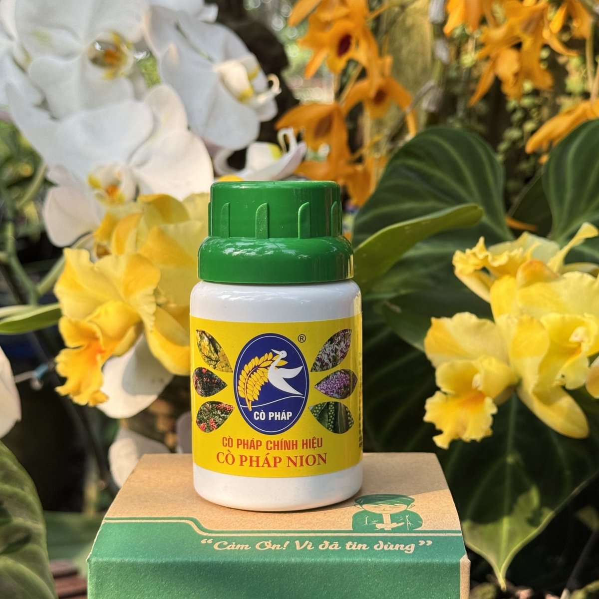 Phục Hồi Cây Nhanh Chóng Với Cò Pháp Nion - Protein Chiết Xuất 2