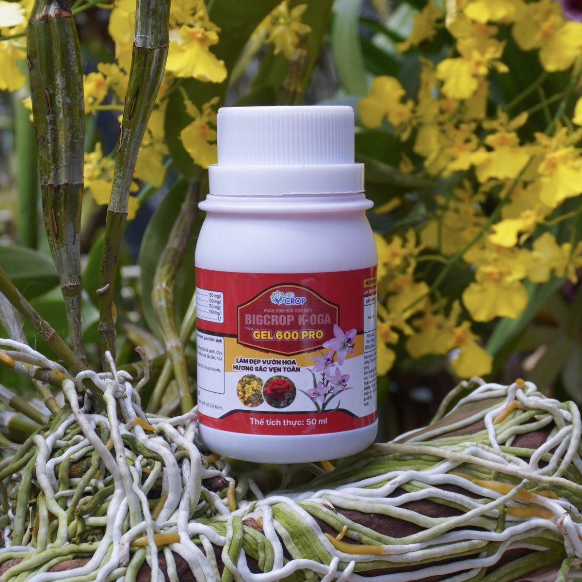 Kích Cây Ra Hoa, Đậm Hương, Bền Sắc - Gel 600 Pro 2
