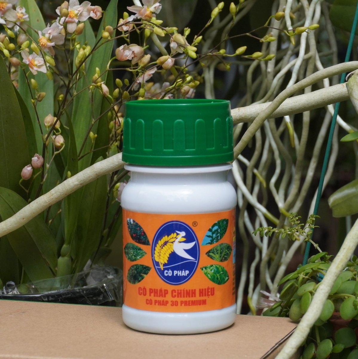 Kích Cây Ra Rễ, Nảy Mầm, To Thân, Dày Lá - Cò Pháp 30 Premium 2