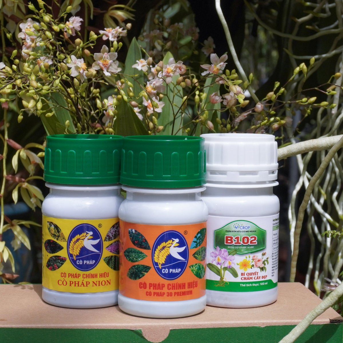 Kích rễ - Bật Mầm - Mập Thân - Dày Lá với Bước 1 Combo 8 Premium (100ml) 2