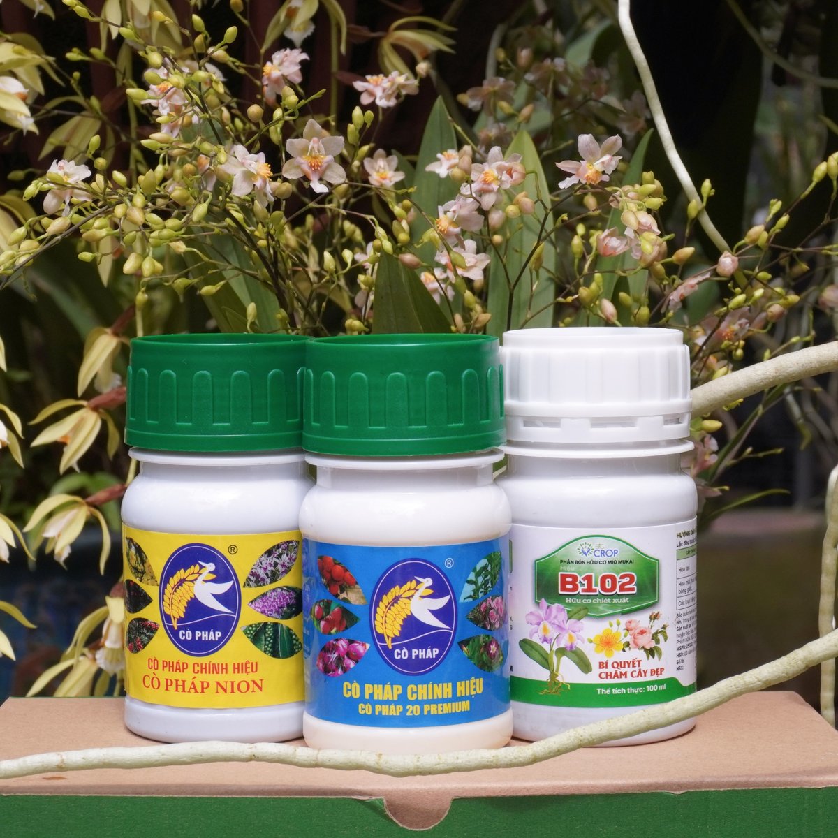Ra Hoa Đồng Loạt, Đậm Sắc - Bền Hương Với Bước 2 Combo 8 Premium (100ml) 2