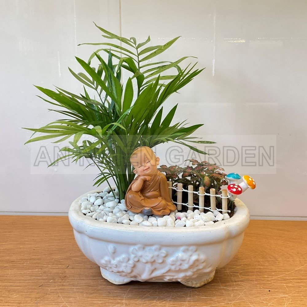 Tiểu Cảnh Cây Cau Tiểu Trâm Và Lá May Mắn - Chậu sứ 2