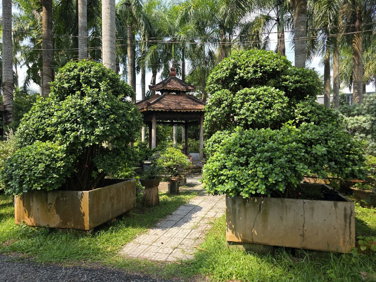 Da Nhật A-K-DN-002 2