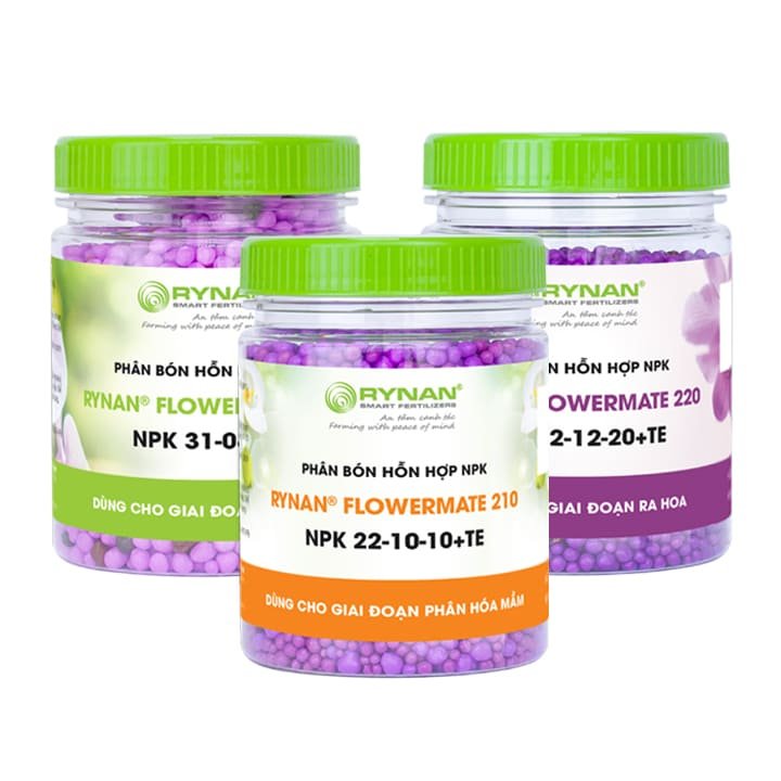 Combo Bộ 3 Phân Tan Chậm Rynan Chuyên Dùng Cho Lan, Hủ 150g
