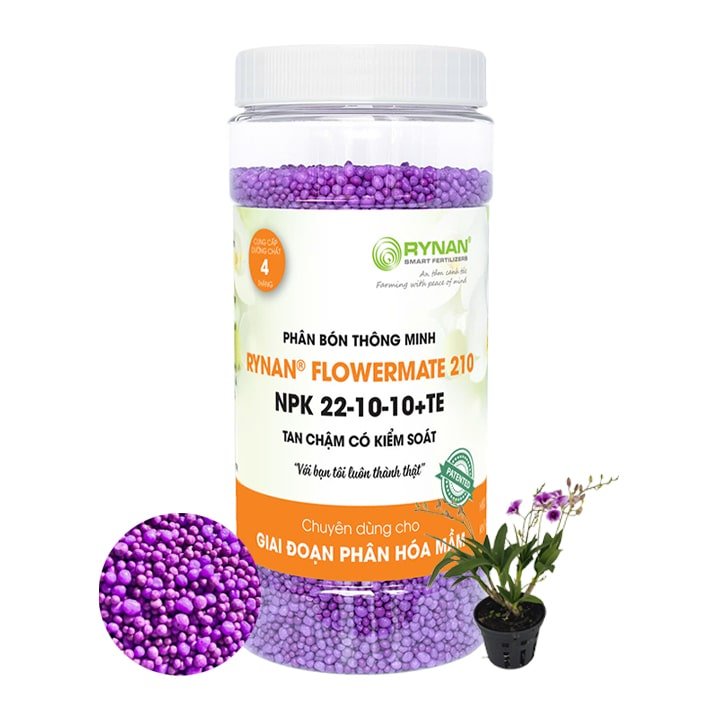 Phân Tan Chậm Rynan 210 Cho Lan Trưởng Thành – Hũ 1,25kg