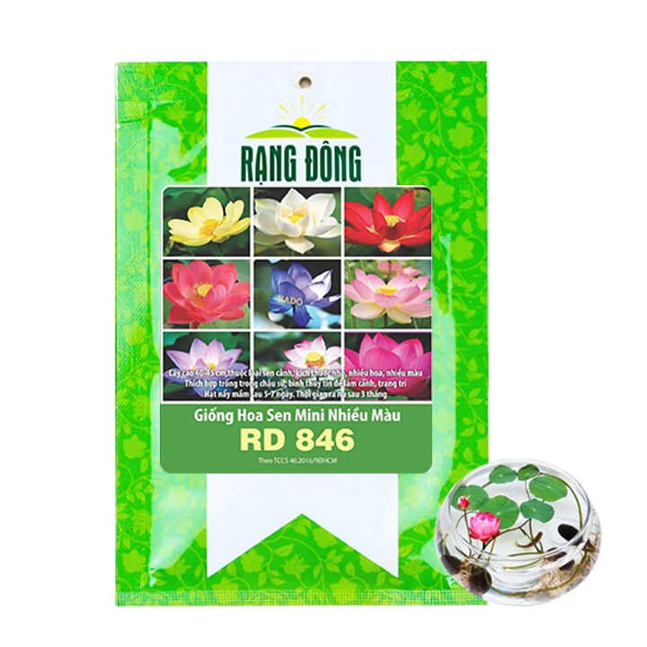 Hạt Giống Hoa Sen Mini Rado, Gói 5 hạt, H21