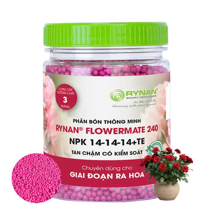 Phân Tan Chậm Rynan 240, Hũ 150gr