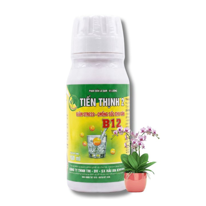 Chế Phẩm Vitamin B12, Chai 100ml