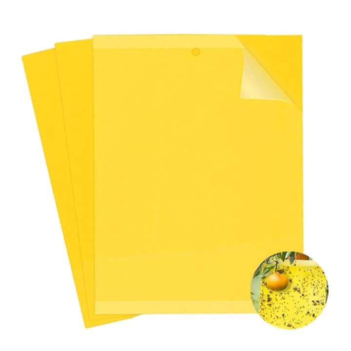 Miếng Dán Bẫy Côn Trùng, R20xC15cm
