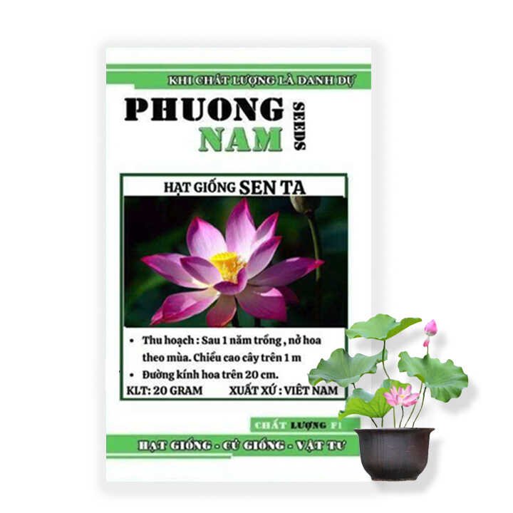 Hạt Giống Hoa Sen Ta, Gói 20Gr ~ 20 hạt, H10