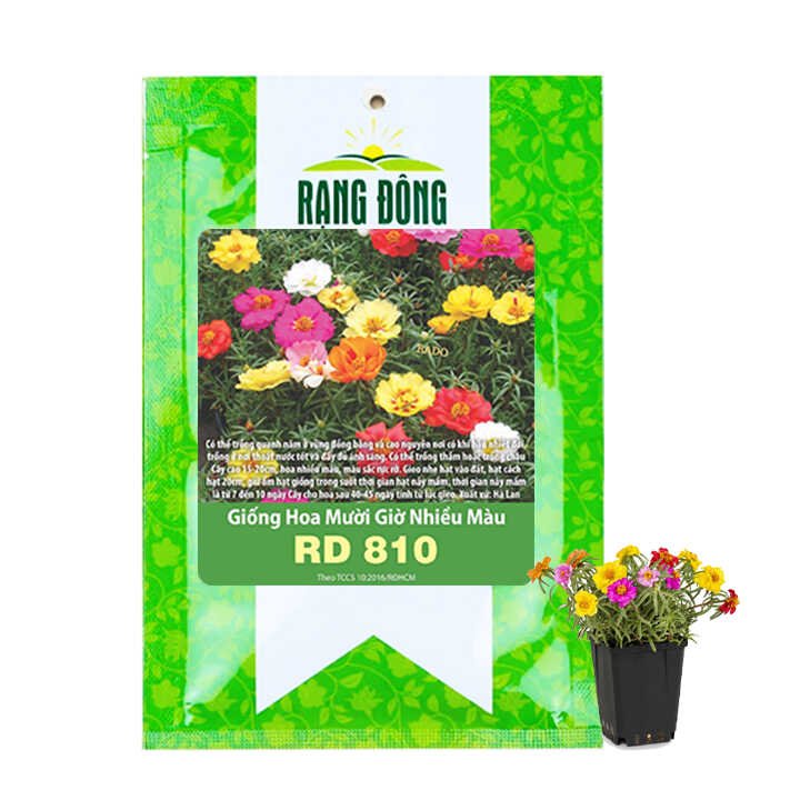 Hạt Giống Hoa Mười Giờ, Gói 0.03gr ~ 150 hạt, H08