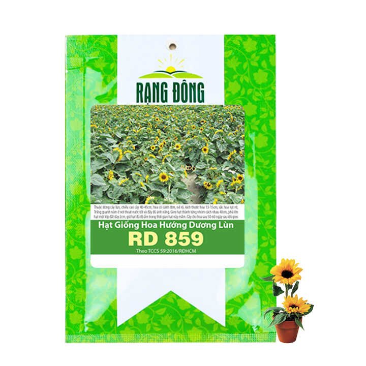 Hạt Giống Hoa Hướng Dương, Gói 10 hạt, H03