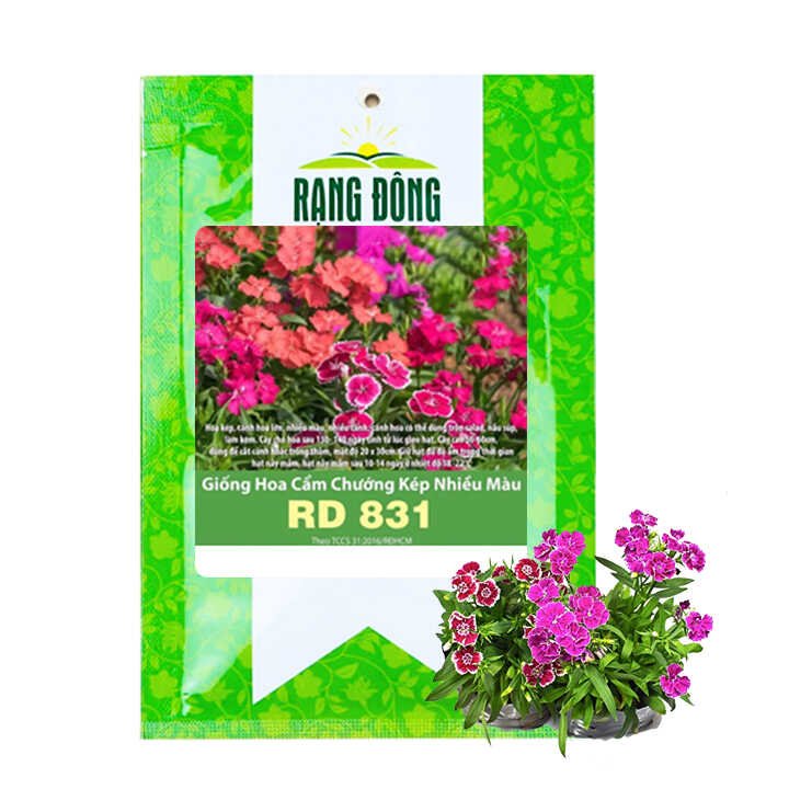 Hạt Giống Hoa Cẩm Chướng, Gói 0.1gr ~ 100 hạt, H07