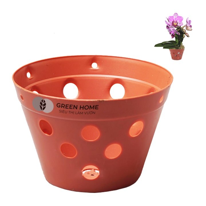 Chậu Nhựa Trồng Lan, R15xC10cm