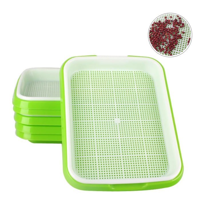 Khay Trồng Rau Mầm, D34xR25xC5cm