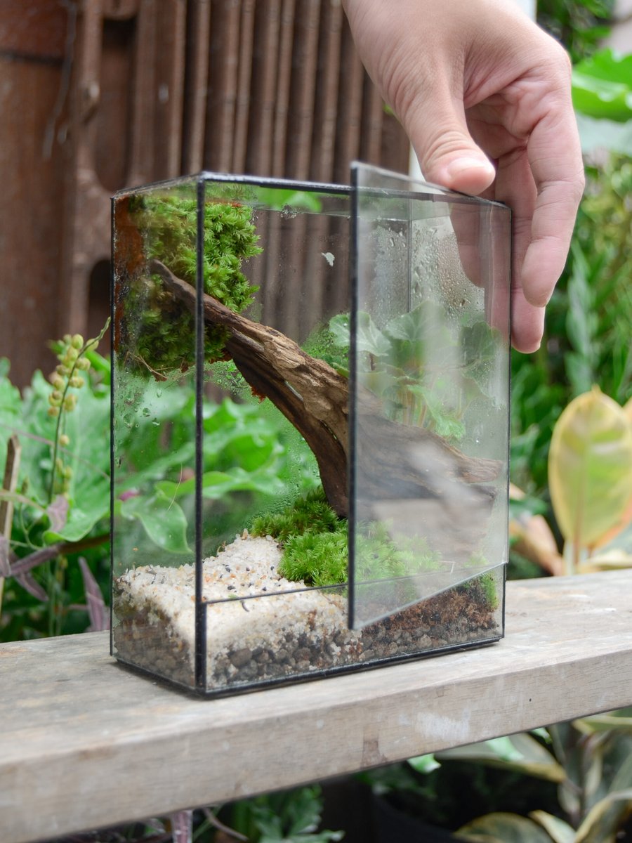 Tươi-arium Chữ Nhật Đứng