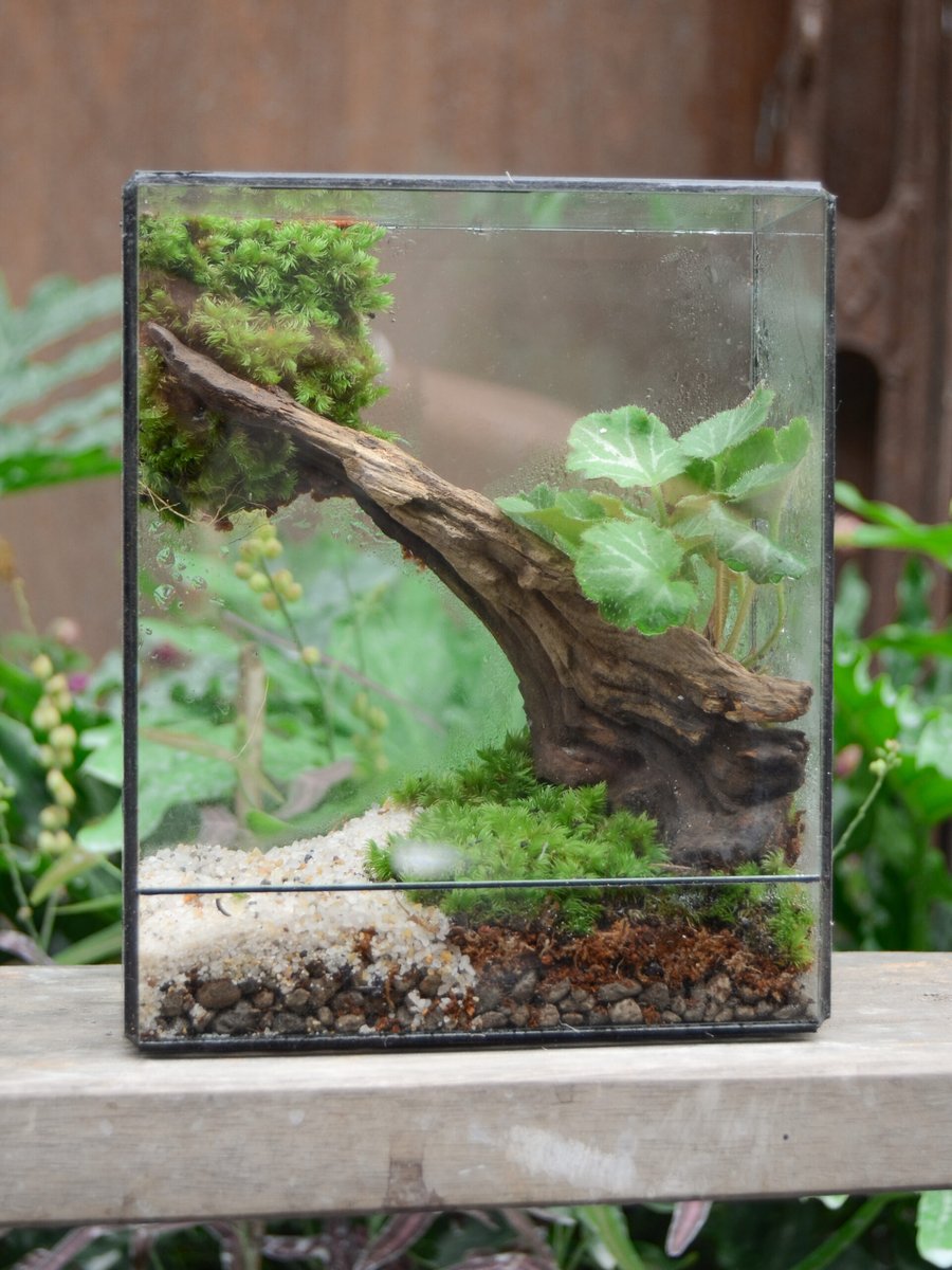 Tươi-arium Chữ Nhật Đứng 2