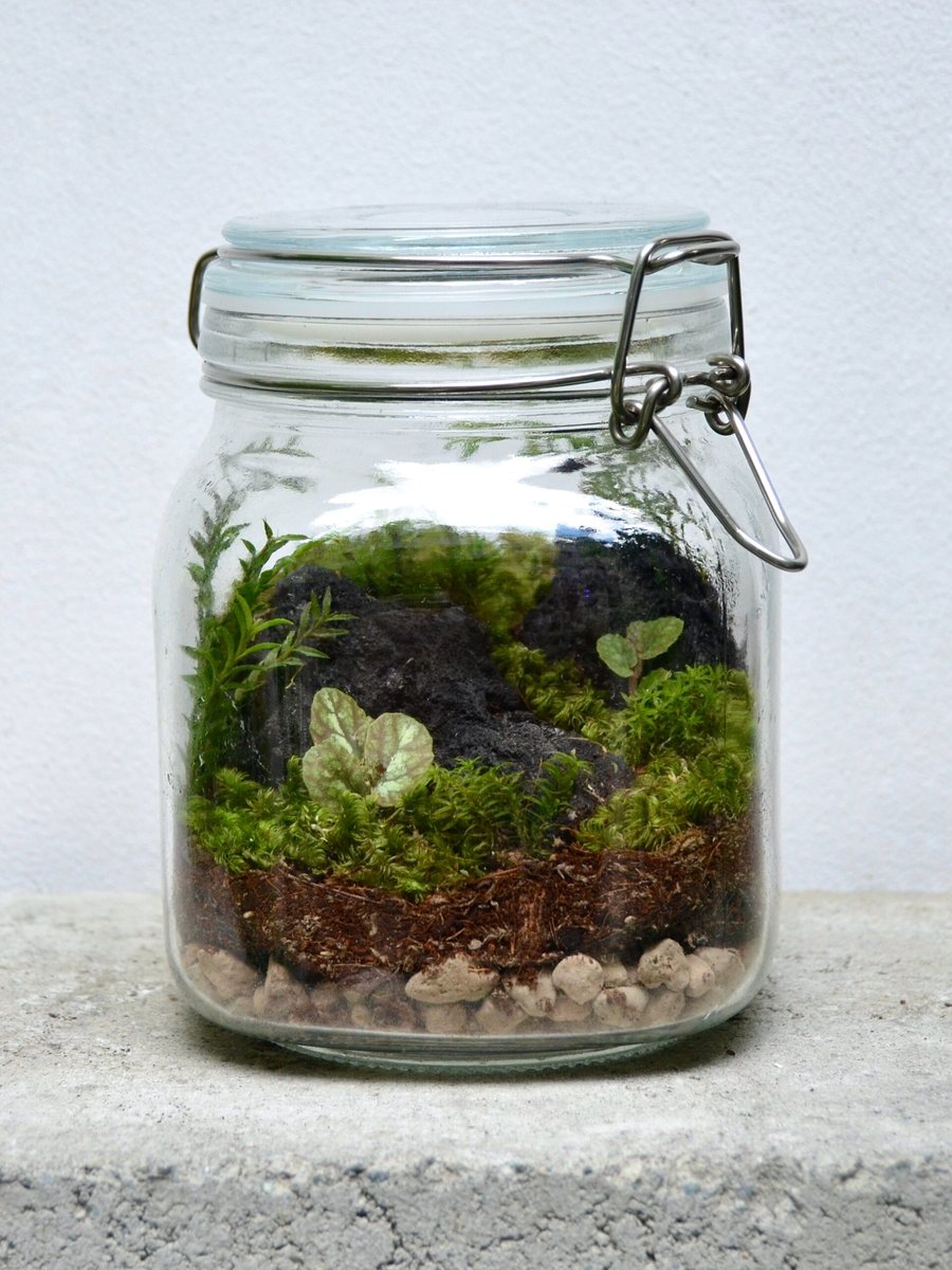 Tươi-arium Nắp Cài