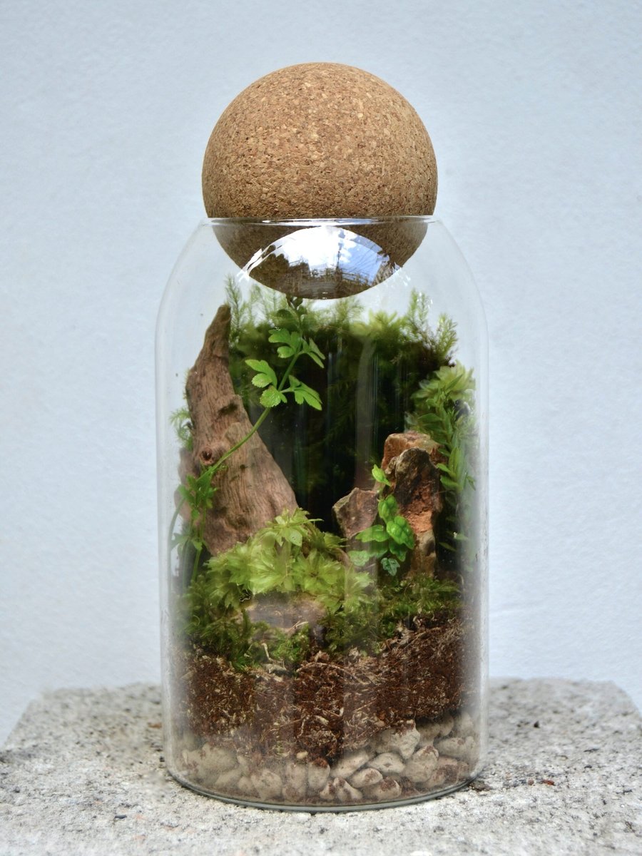 Tươi-arium Nút Bần