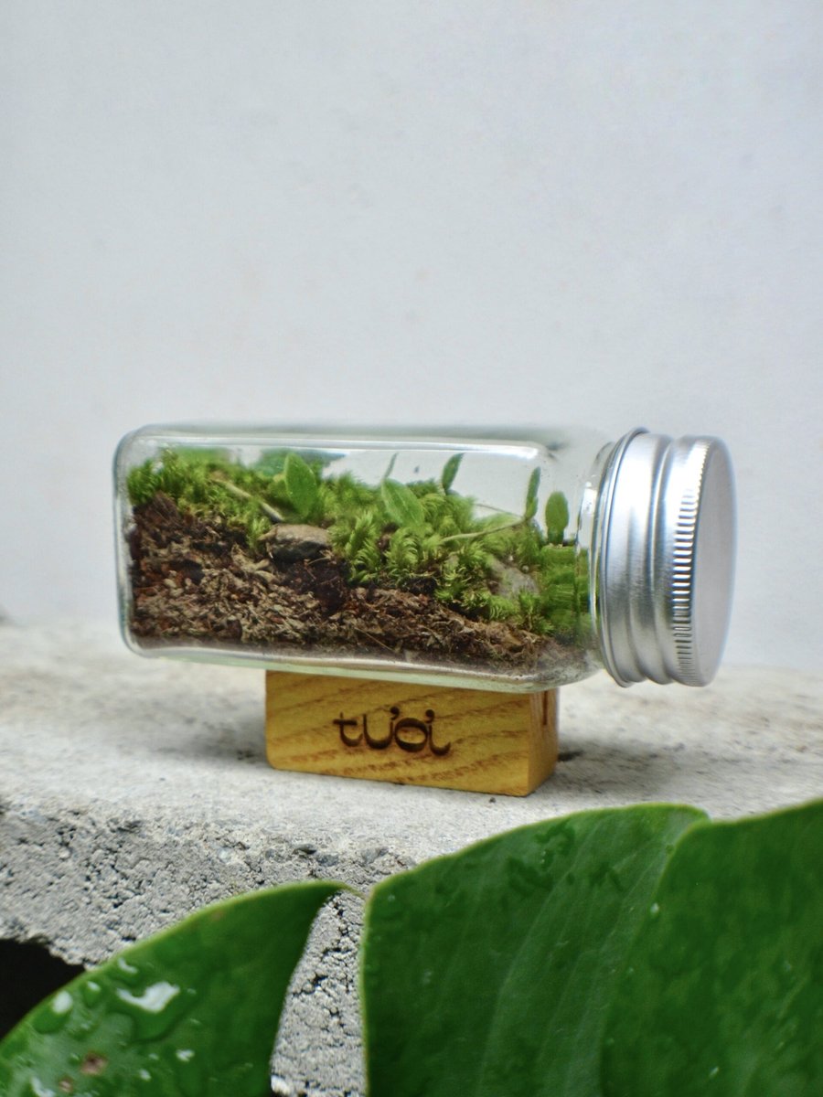 Tươi-arium Mini