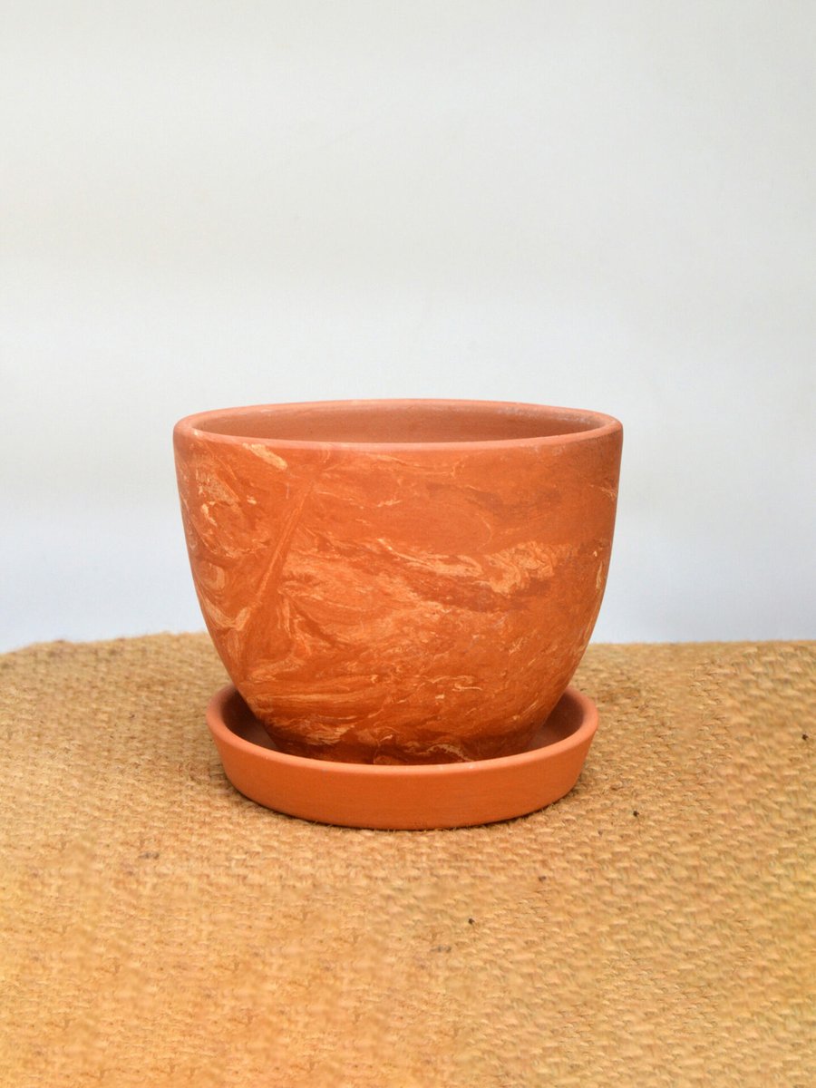 Chậu Trứng Đất Nung Loang 10cm 2