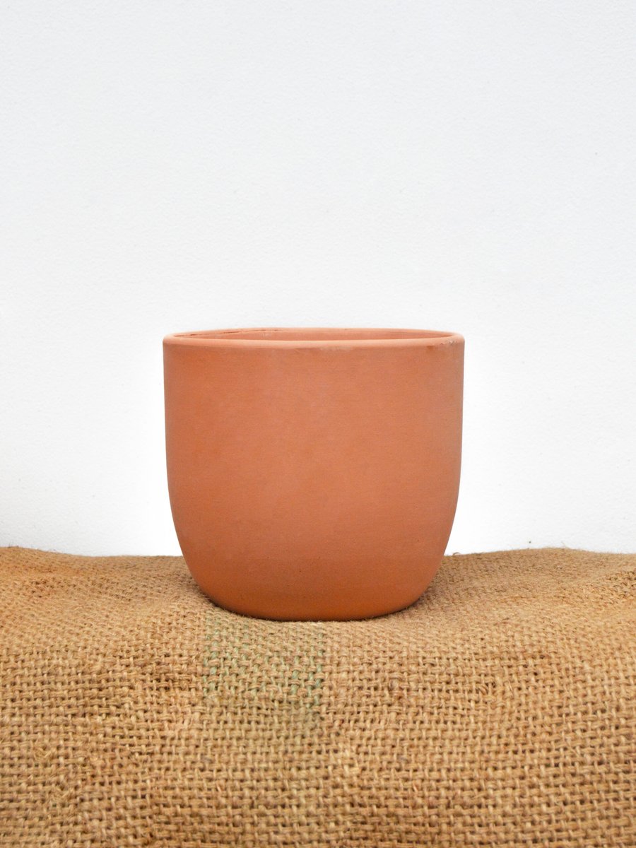 Chậu trứng đất nung 14cm