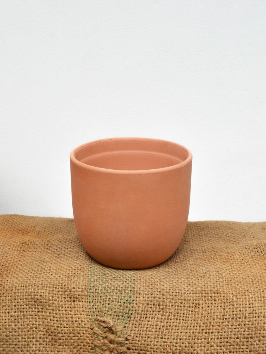 Chậu trứng đất nung 14cm 2