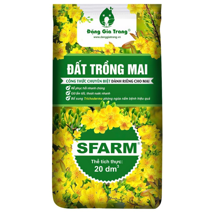 Đất trồng mai SFARM