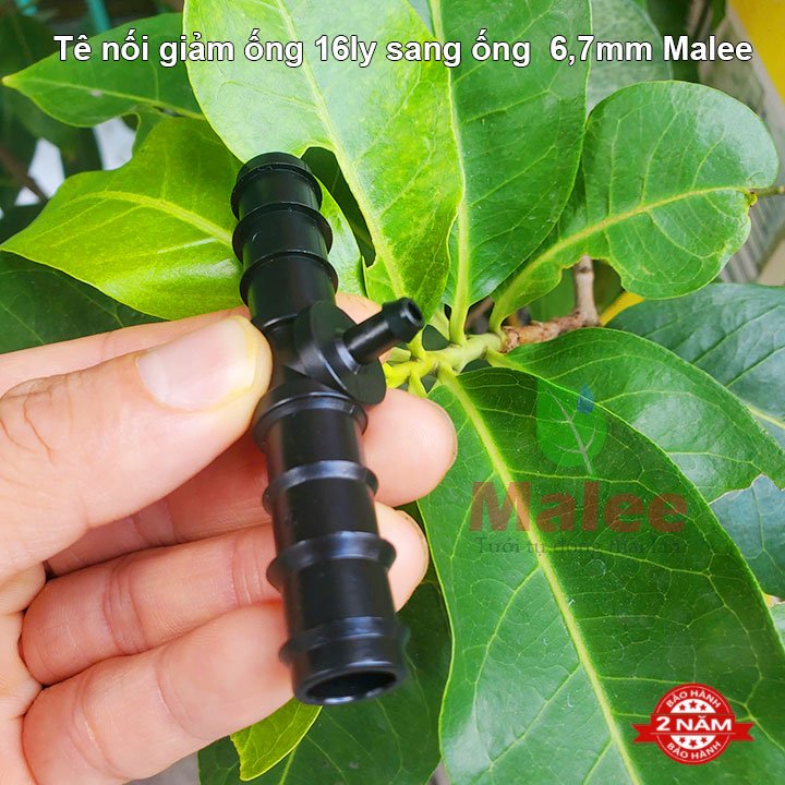 Tê giảm 16 sang ống 6mm 7mm Malee (nhựa tốt, bảo hành 2 năm)