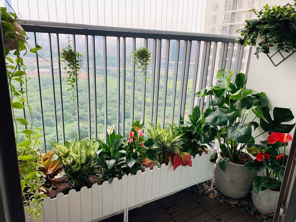 Giải pháp tưới tự động, nhỏ giọt ban công chung cư nhà phố