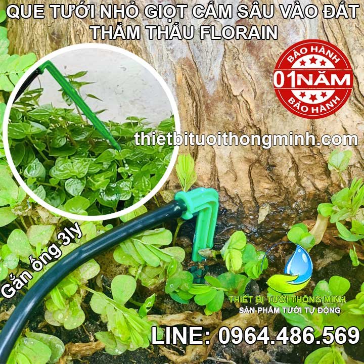 Que tưới nhỏ giọt cắm gốc Florain (Cây cắm gốc cao 12cm, gắn ống 3ly)(cắm sâu vào đất, rễ cây)