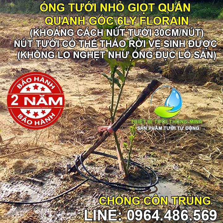 Ống dây tưới nhỏ giọt quấn quanh gốc ống 6ly khoảng cách 30cm Florain (Mua lẻ 10k/m, mua 100m giá 6.5k/mét)