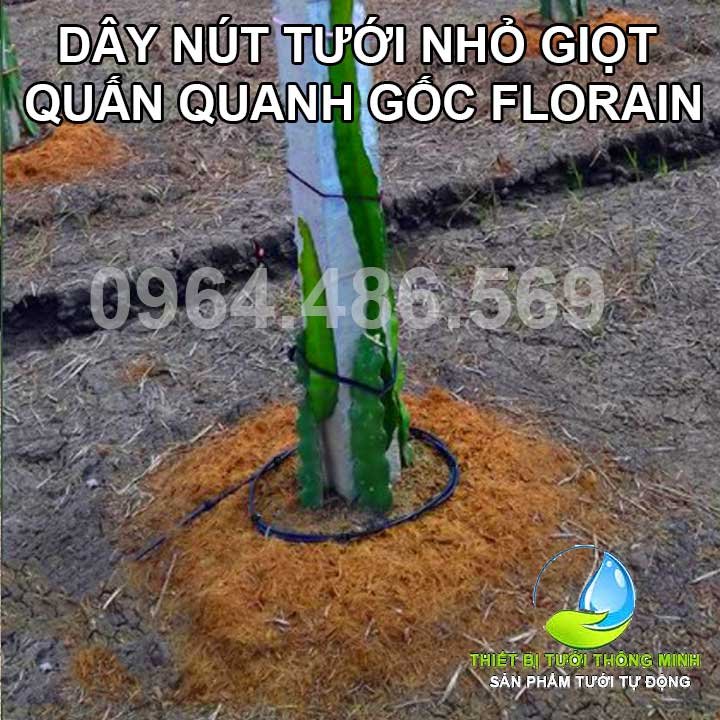 Dây nút tưới nhỏ giọt quấn quanh gốc Florain (Ống 6ly 3 Nút tưới, Đường kính 20cm)