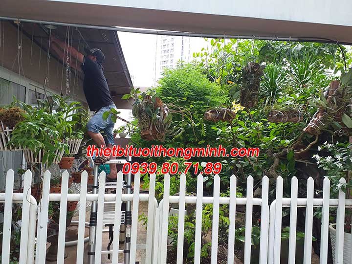 Lắp đặt tưới cây cảnh hoa mai và phun sương tưới lan điều khiển từ xa quận 4
