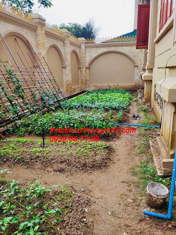 Lắp đặt hệ thống tưới vườn rau biệt thự hẹn giờ tự động quận 2 tphcm