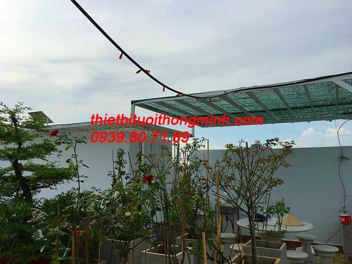 Lắp đặt tưới phun sương cho hoa hồng, cây cảnh 8 tia trên sân thượng tự động