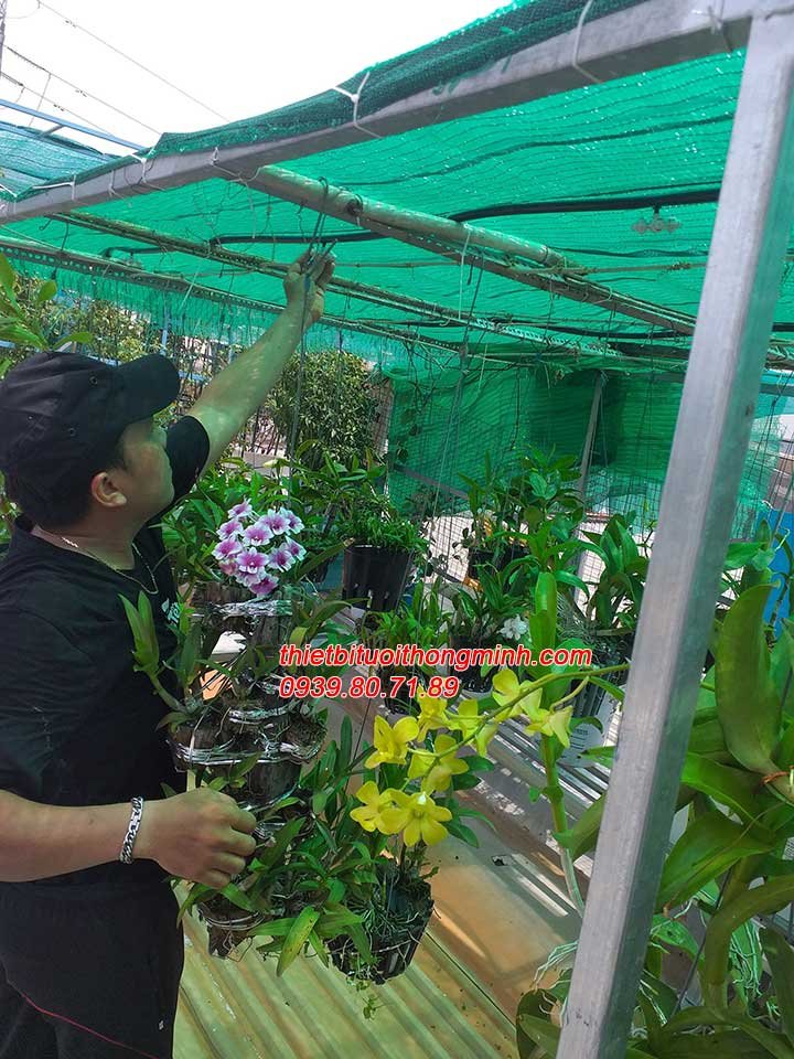 Lắp đặt tưới phun sương, béc 8 tia, nhỏ giọt hoa lan, cây cảnh, hoa hồng, khay ray sân thượng quận 8
