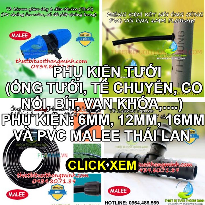 Phụ kiện tưới cây ống 6mm 12mm 16mm PVC (CLICK XEM)